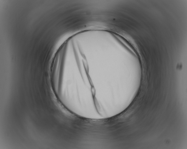 X0000090871488200708241910