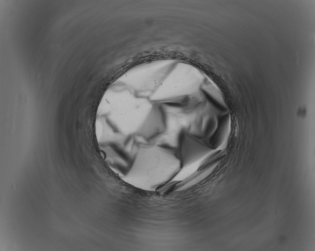 X0000090871489200708241909