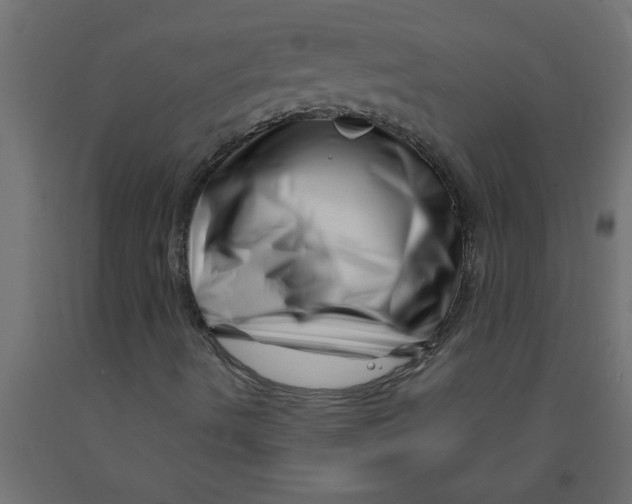 X0000090871490200708241909