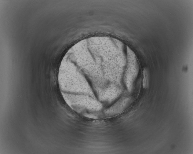 X0000090871491200708241909