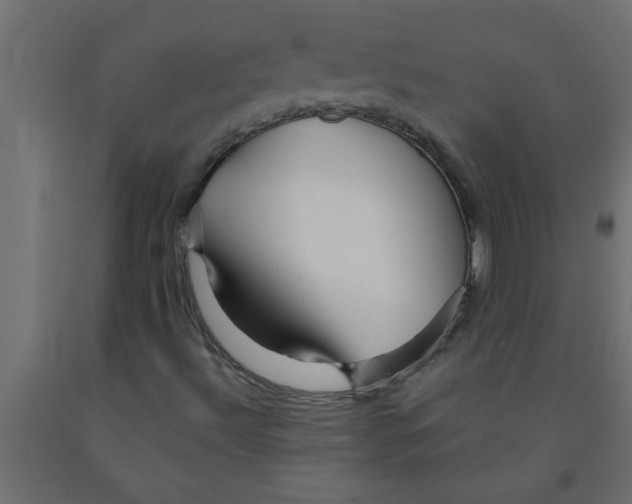 X0000090871492200708241909