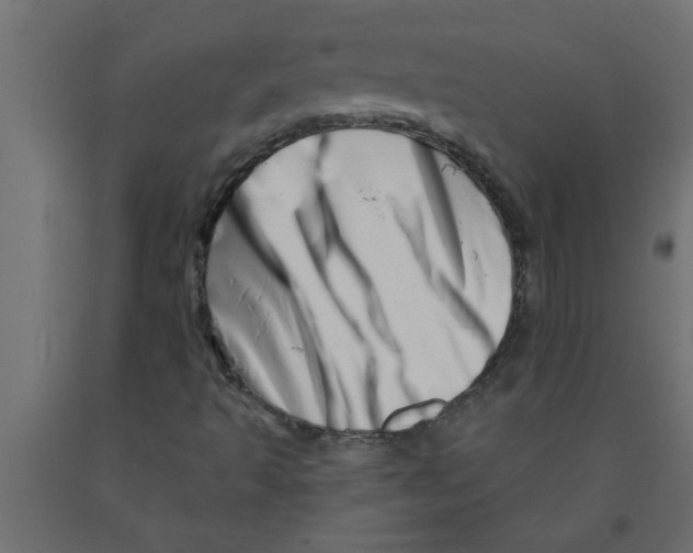 X0000090871493200708241909