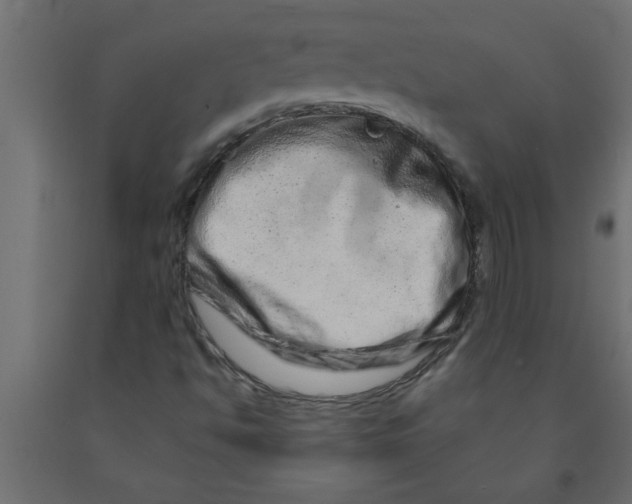 X0000090871494200708241909