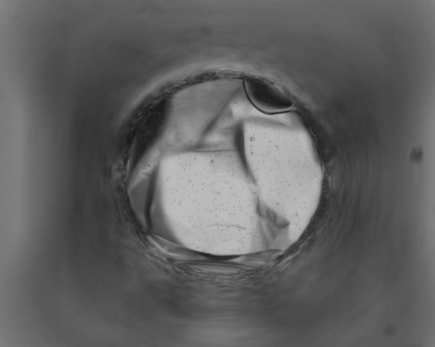 X0000090871495200708241909