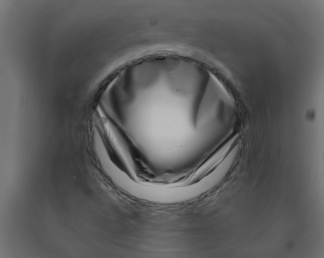 X0000090871496200708241909