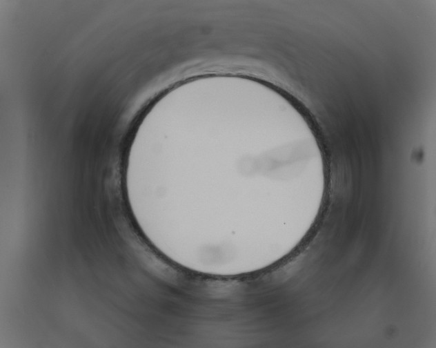 X0000090871498200708241909