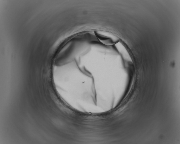 X0000090871499200708241909