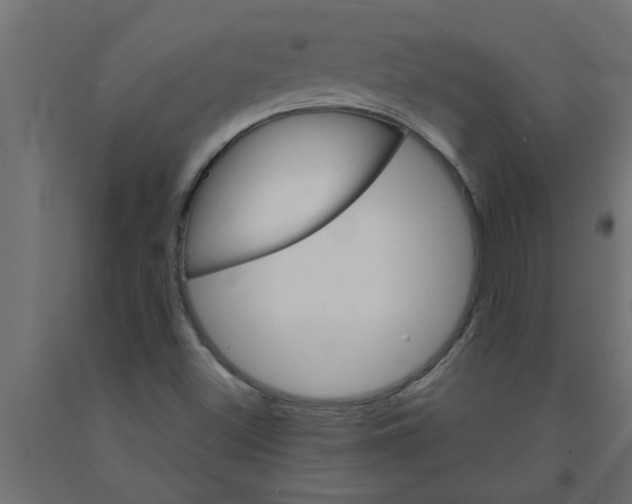 X0000090871500200708241909