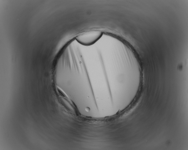 X0000090871501200708241909