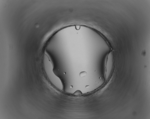 X0000090871502200708241909