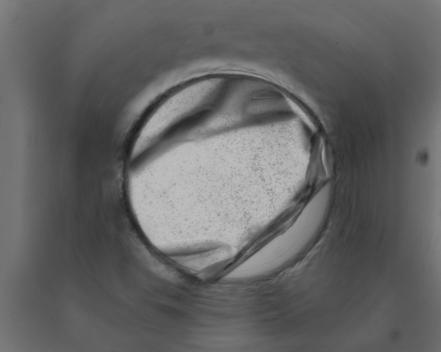 X0000090871503200708241909