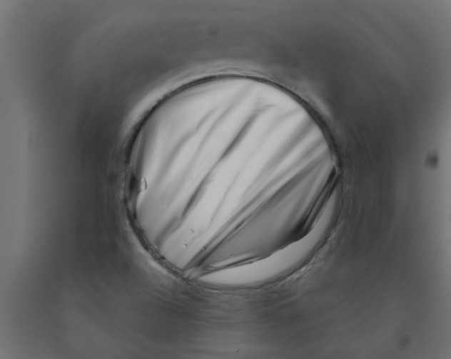 X0000090871504200708241909