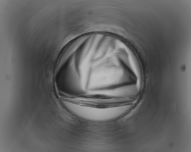 X0000090871505200708241909