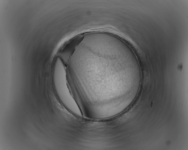 X0000090871506200708241909