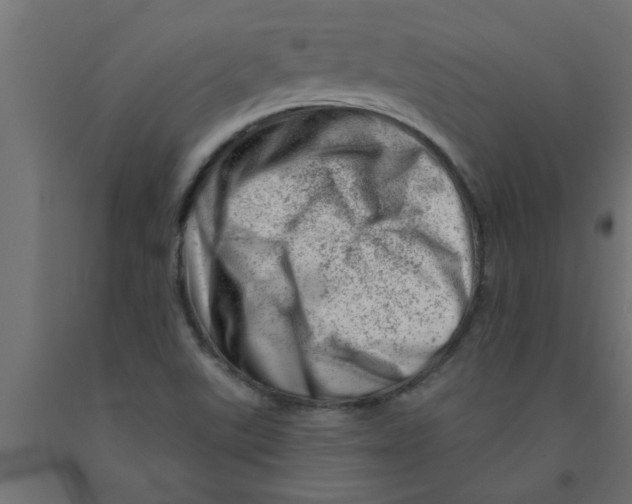 X0000090871507200708241909