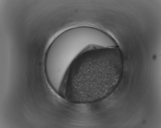 X0000090871508200708241909