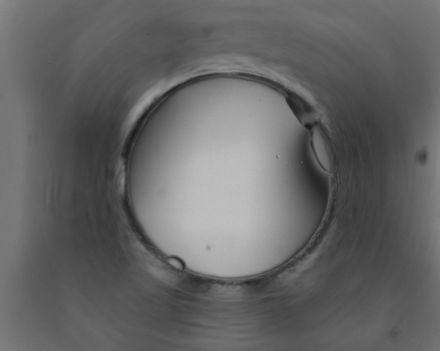 X0000090871509200708241909