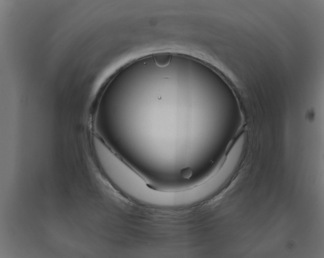 X0000090871510200708241909