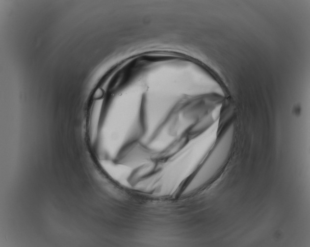 X0000090871511200708241909