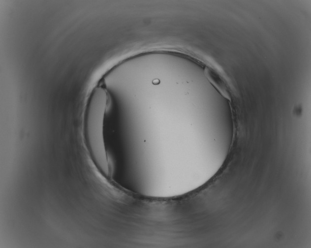 X0000090871512200708241909