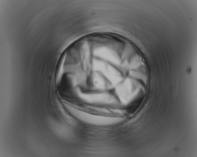 X0000090871513200708241909