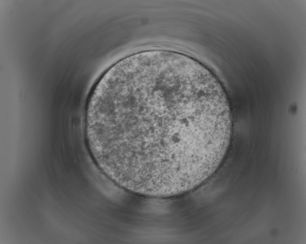 X0000090871514200708241909