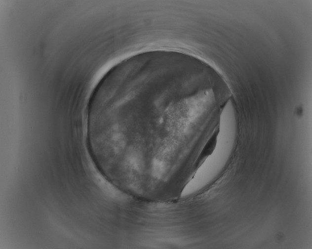 X0000090871515200708241909