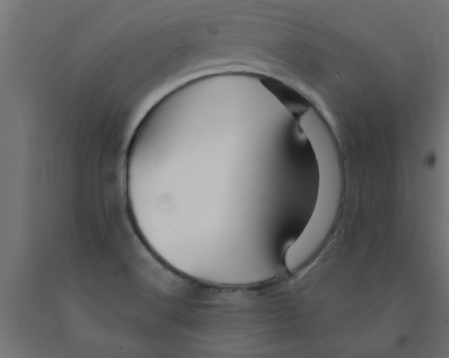 X0000090871516200708241909