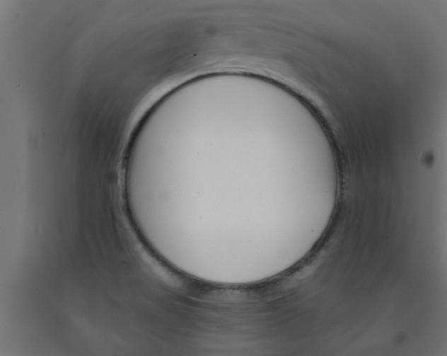 X0000090871517200708241909