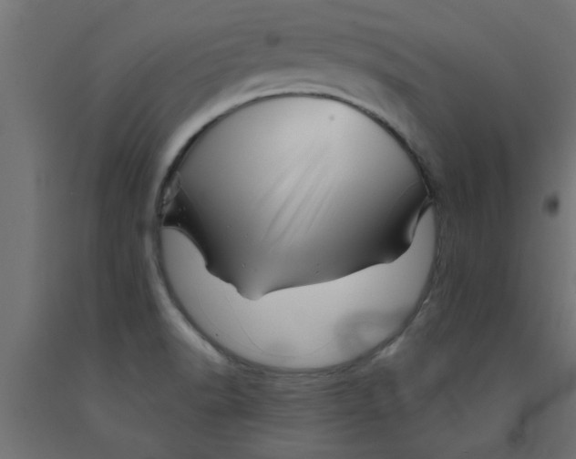 X0000090871518200708241909