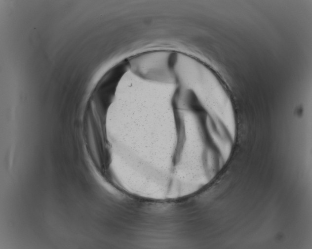 X0000090871519200708241909