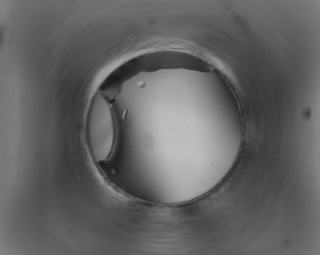 X0000090871520200708241909