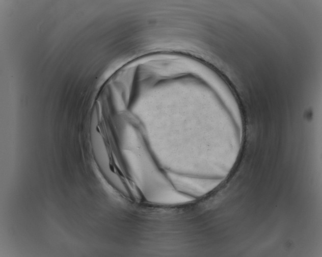 X0000090871521200708241909