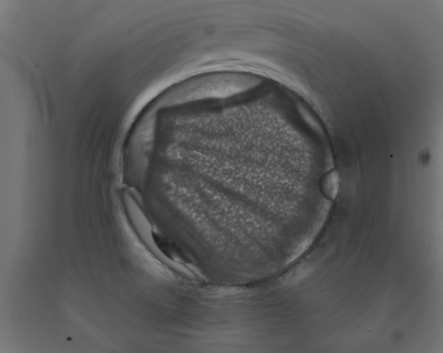 X0000090871522200708241909