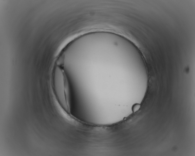 X0000090871523200708241909