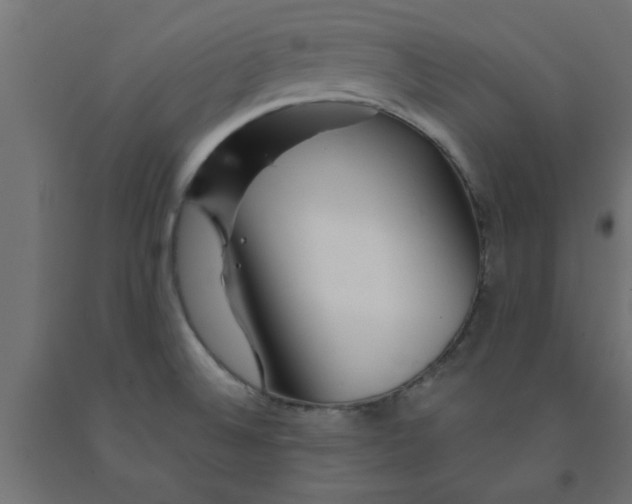 X0000090871524200708241909