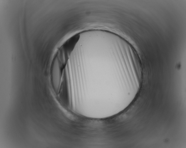 X0000090871525200708241909