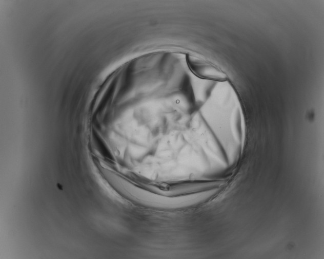 X0000090871526200708241909