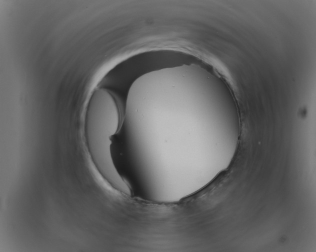 X0000090871528200708241909