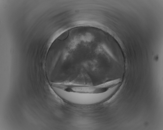 X0000090871529200708241909