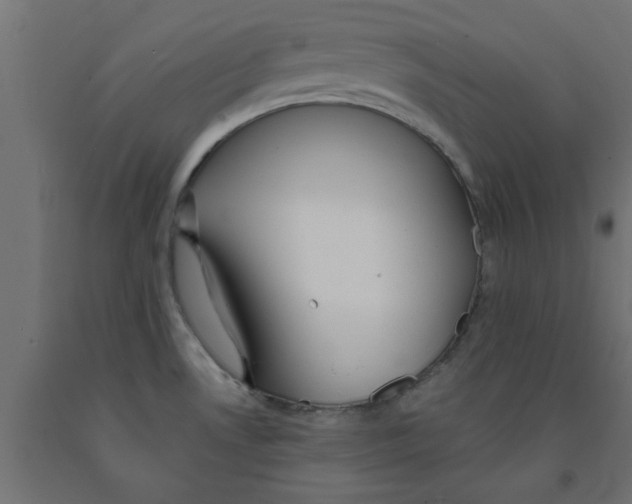 X0000090871530200708241909