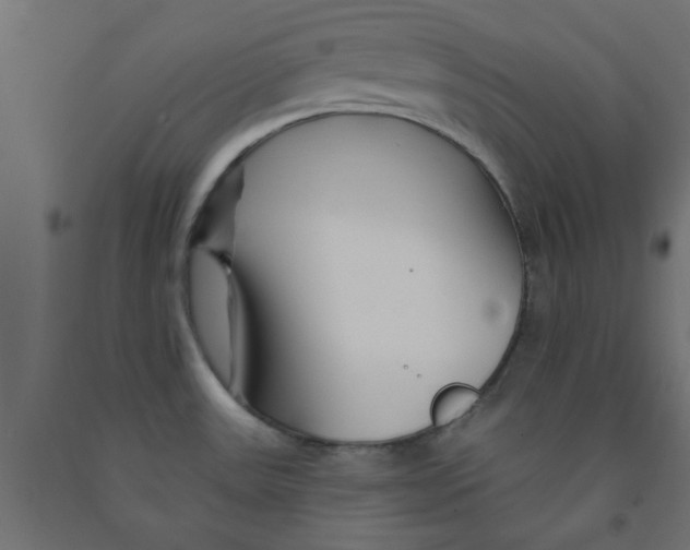 X0000090871531200708241909