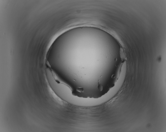 X0000090871532200708241910