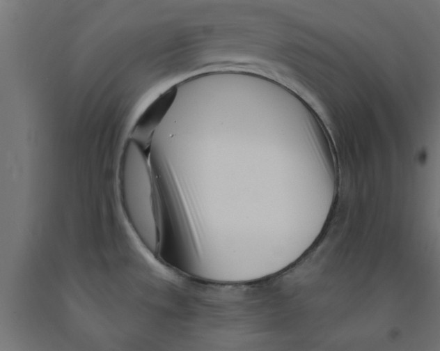 X0000090871533200708241910