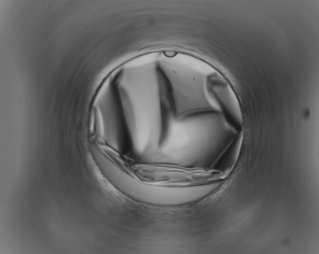 X0000090871534200708241910