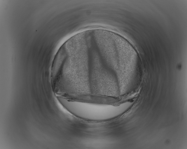 X0000090871535200708241910