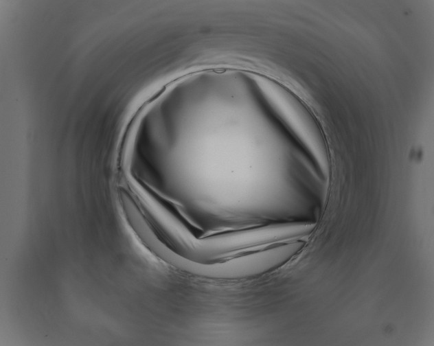 X0000090871536200708241910