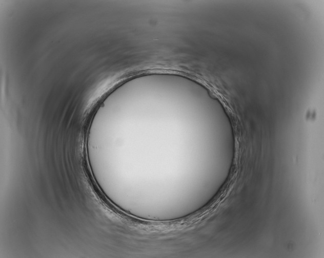 X0000090880005200707271027