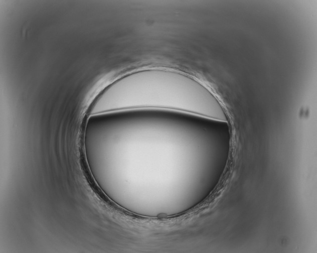 X0000090880007200707271027