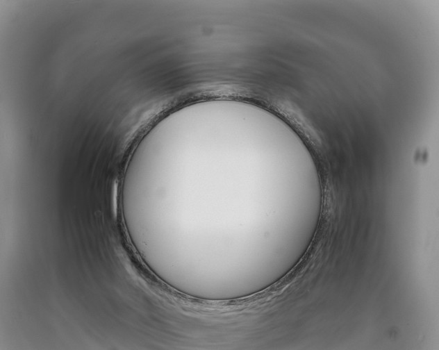 X0000090880014200707271027